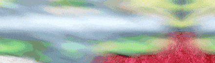 Hyasia | Home of Asian Players